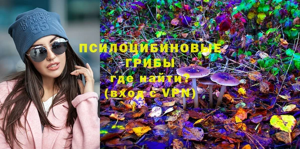 гидропоника Аркадак