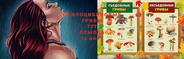 гидропоника Аркадак