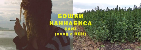 гидропоника Аркадак